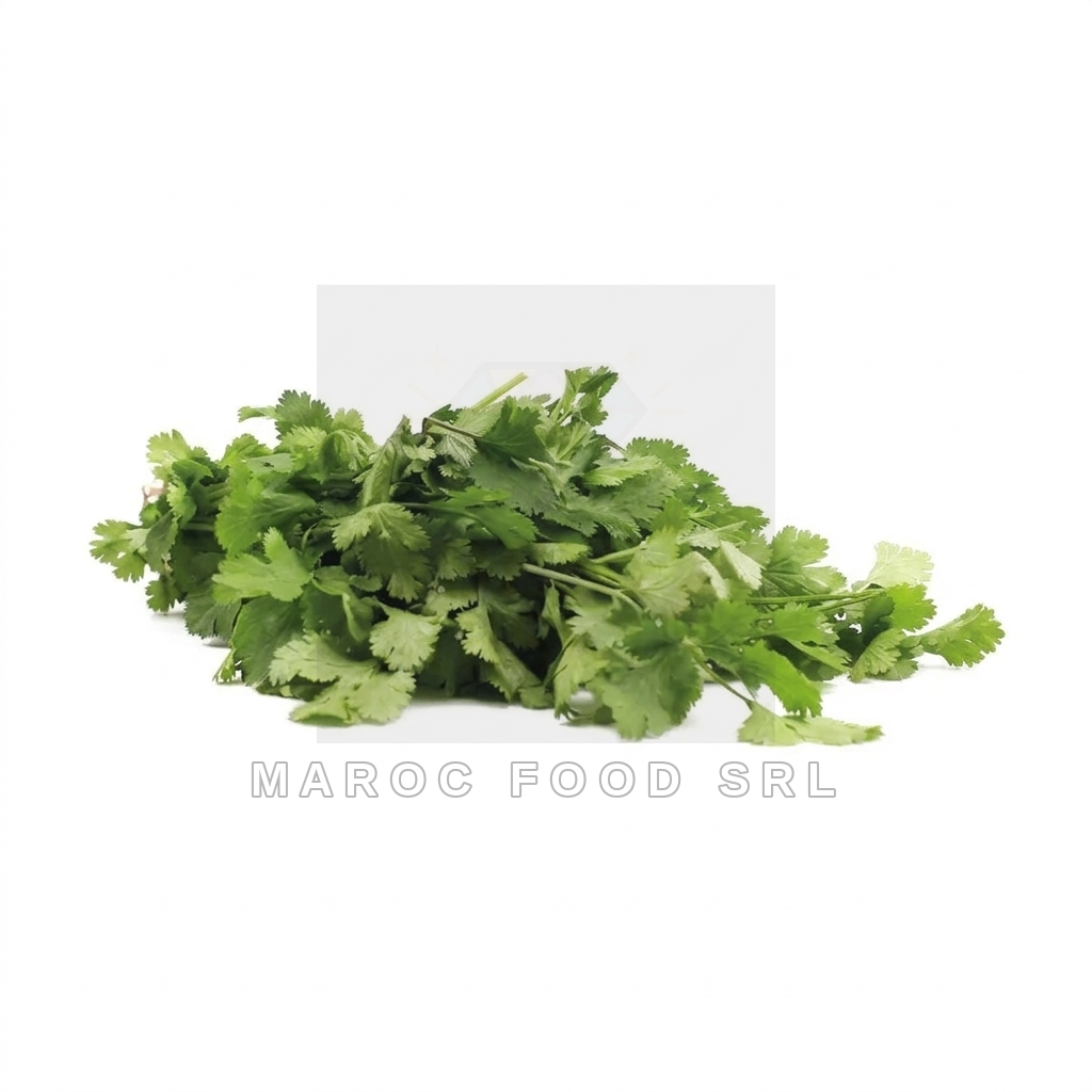 Coriandolo Fresco — Prodotti Freschi & Formaggi Marocfood Srl