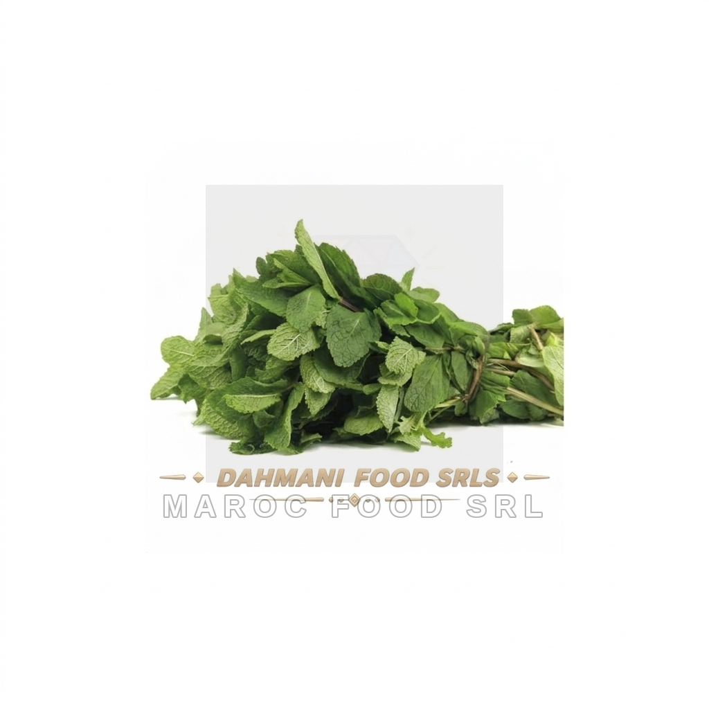 Menta Fresca — Prodotti Freschi & Formaggi Marocfood Srl